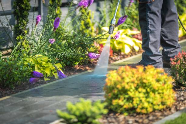 Best Sidewalk and Walkway Pressure Cleaning in Valencia West, AZ